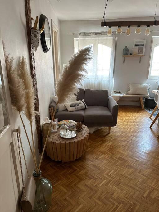 טולוז Appartement Carmes, Hypercentre מראה חיצוני תמונה